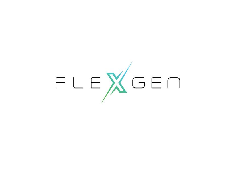 Protecting US’ Grid against the Risks of Foreign Battery Alternatives