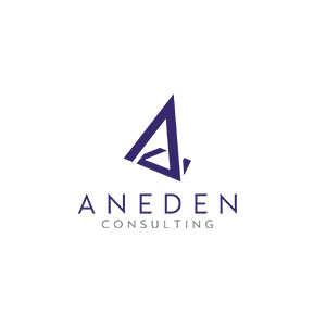 Aneden Consulting